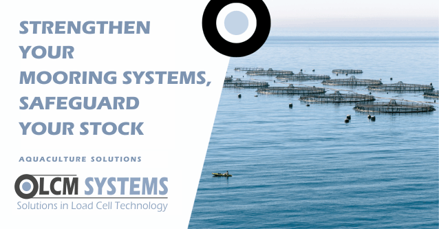 Aquacultuur Aanlegsteiger